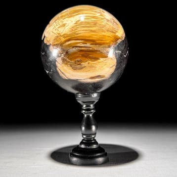 Gefossiliseerd hout - Wonderful Set pair of Petrified Wood