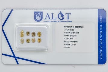 Zonder minimumprijs - 8 pcs Diamant (Natuurlijk) - 1.09 ct -, Nieuw