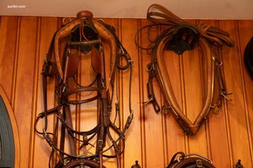 Enkelspan bruin gareeltuig met messingbeslag, Dieren en Toebehoren, Paarden en Pony's | Zadels, Nieuw