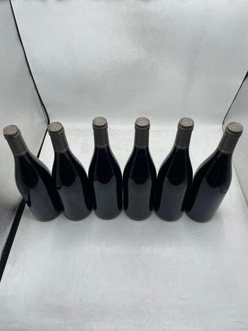 2019 Domaine Jean Monnier & Fils Grands Epenots - Clos De