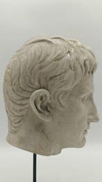 sculptuur, Testa di Augusto - 39 cm - marmerstof
