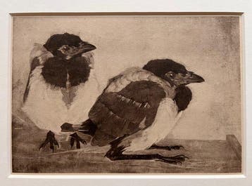 Jan Mankes (1889-1920) - Heliogravure 2 Jonge Eksters 1923