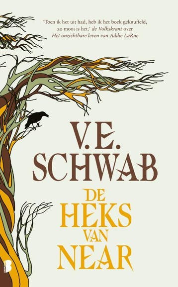 De heks van Near 9789049206123 V.E. Schwab, Verzenden, V.E. Schwab