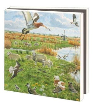 Kaartenmapje met env, vierkant:Landschappen, Elwin van der, Ophalen of Verzenden