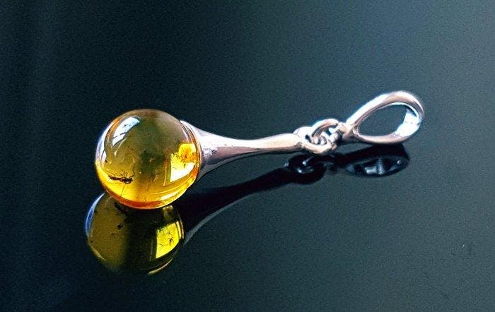 Zeldzame natuurlijke Baltische barnsteen hanger met fossiel, Verzamelen, Mineralen en Fossielen