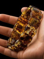 Barnsteen - Premium Amber Bracelet – Rectangular Beads with