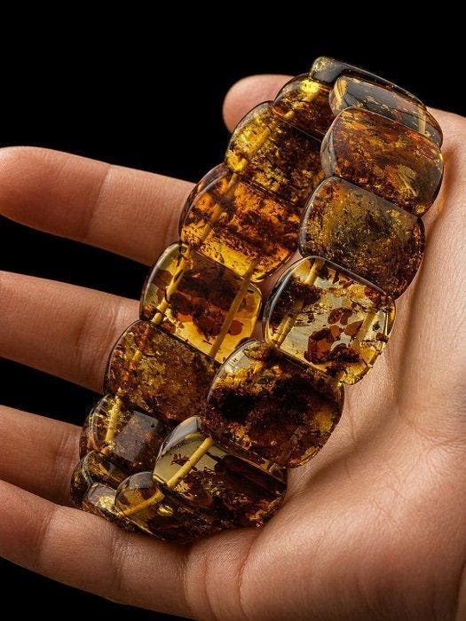 Barnsteen - Premium Amber Bracelet – Rectangular Beads with, Antiquités & Art, Curiosités & Brocante