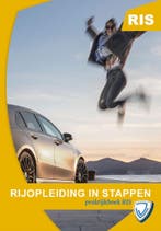 Rijopleiding in Stappen / Verkeerswegwijzer 9789058624697, Verzenden, Gelezen, Cgcp Verstappen