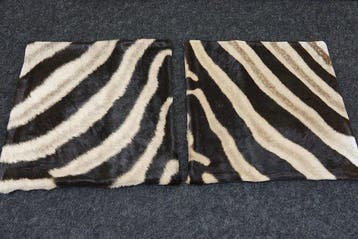 real zebra skin covers - Kussen (2)