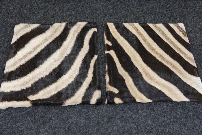 real zebra skin covers - Kussen (2), Collections, Collections Animaux