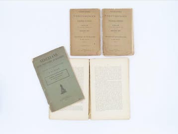 [Nederlands Indië] Thomas Stamford Raffles -