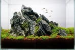 Ordinairy Tsinglung 10-20cm  - aquarium decoratie steen, Dieren en Toebehoren, Verzenden, Nieuw, Plant(en), Steen of Hout