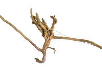 Driftwood Selected DW19 - 55x30x20cm (Small drift wood), Ophalen of Verzenden, Nieuw, Plant(en), Steen of Hout