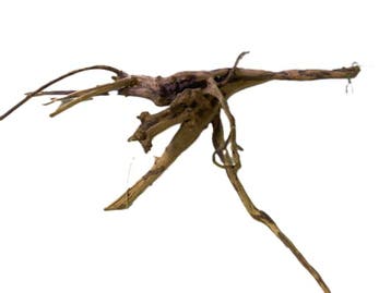 Driftwood Selected DW17 - 40x25x10cm (Small drift wood), Ophalen of Verzenden, Nieuw, Plant(en), Steen of Hout