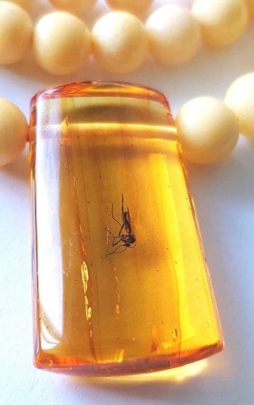 Amber Zeer zeldzame natuurlijke Baltische barnsteen ketting