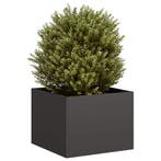 vidaXL Plantenbak 40x40x30 cm staal zwart, Verzenden, Nieuw