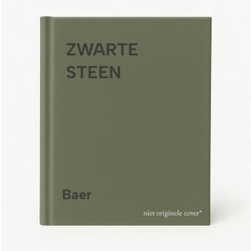 ZWARTE STEEN 9789061208617 Baer, Verzenden, Baer