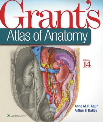 Grants Atlas of Anatomy 9781496331472 Anne M. R. Agur, Verzenden, Gelezen, Anne M. R. Agur