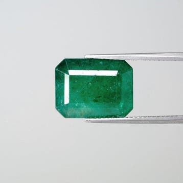 1 pcs Groen Smaragd - 8.70 ct - Guild Gem Laboratory
