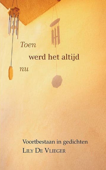 Toen werd het altijd nu 9789402248586 Lily De Vlieger, Verzenden, Zo goed als nieuw, Lily De Vlieger
