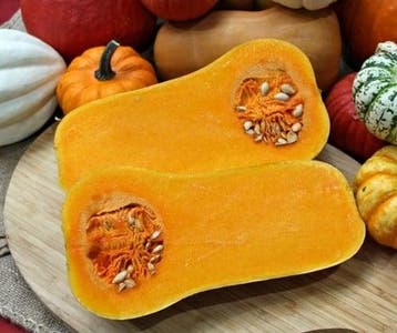 Butternut Emily F1 Vroege flespompoen kleinverpakking, Nieuw