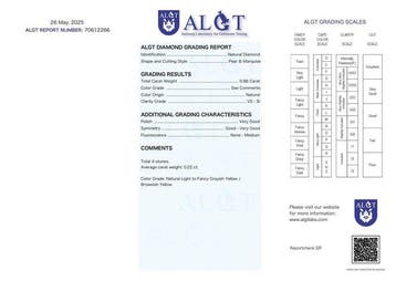 4 pcs Diamant (Natuurlijk) - 0.88 ct - Gemengde slijpvorm -, Nieuw