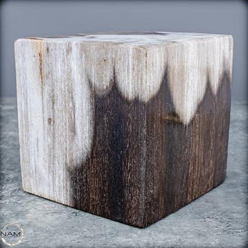 Versteend hout kubus – natuurkunst uit miljoenen jaren, Verzamelen, Mineralen en Fossielen