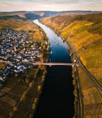 2005 Grans-Fassian, Trittenheimer Apotheke Riesling - Moezel, Nieuw