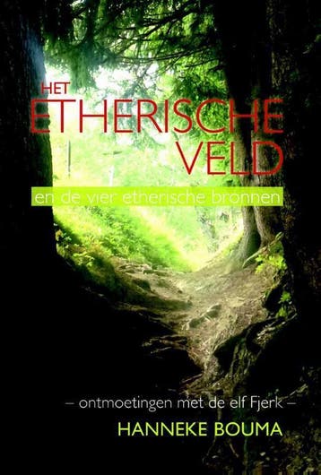 Het etherische veld en de vier etherische bronnen van, Boeken, Verzenden, Zo goed als nieuw, Hanneke Bouma