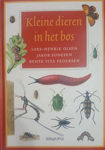 Kleine dieren in het bos - Olsen, Verzenden, Nieuw