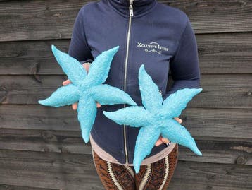 Beeld, 2pcs - XL Starfish 30cm - 4 cm - Hars - 2026