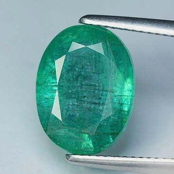 Sans prix de réserve Émeraude - 6.19 ct - International, Nieuw