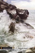 Opspattend Woordenschuim 9789048409945 Annie de Paepe, Verzenden, Zo goed als nieuw, Annie de Paepe