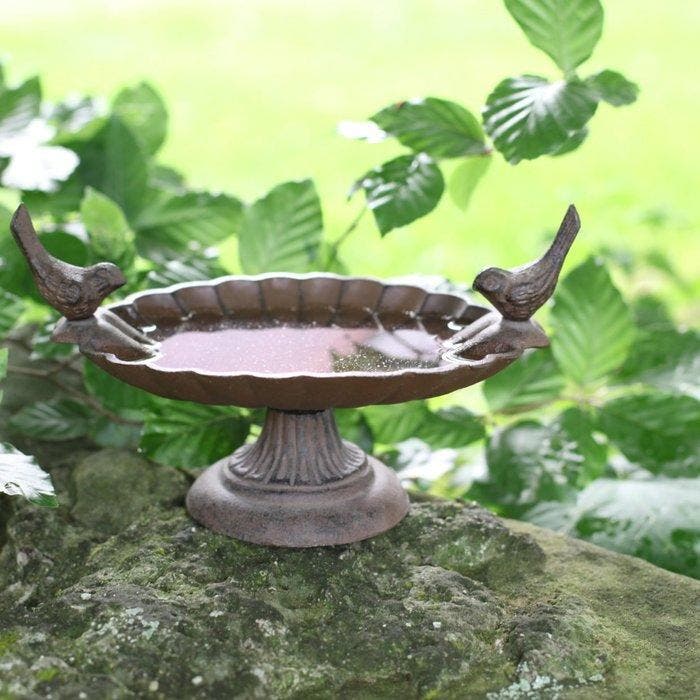 Vogelbad - Gietijzer, Antiek en Kunst, Curiosa en Brocante
