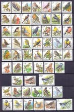 België 1986/2010 - Uitgebreide collectie Buzin-vogels met, Gestempeld