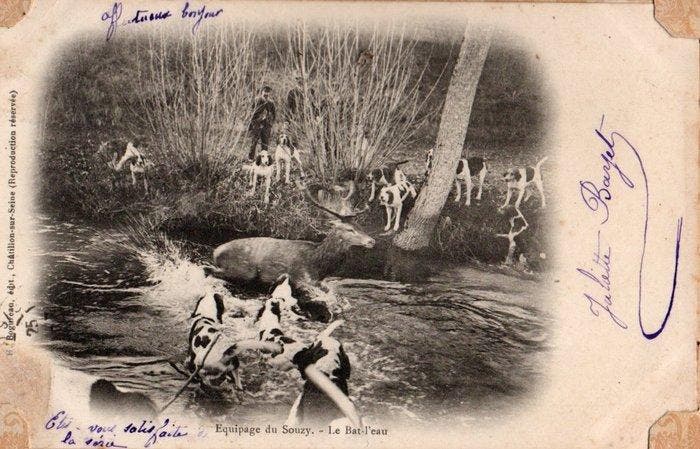 Frankrijk - Stad en Landschap, Militair, Dieren,, Collections, Cartes postales | Étranger