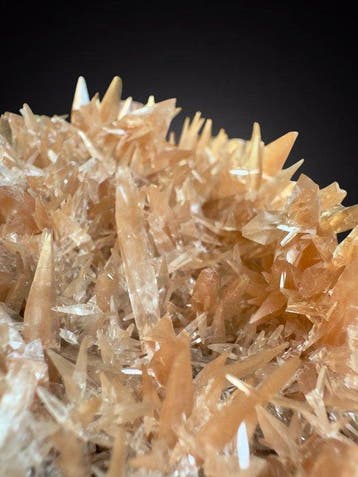 Gedefinieerde naalden van rode calciet Mineralencollectie -
