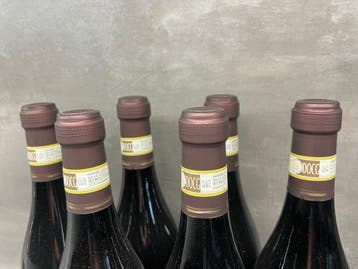 2017 Tana di Lupo - Amarone della Valpolicella - 6