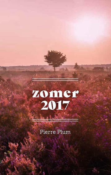 Zomer 2017 9789073626935 Pierre Plum, Boeken, Literatuur, Verzenden, Zo goed als nieuw, Pierre Plum