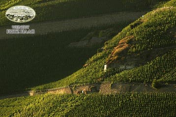 2010 Fritz Haag, Brauneberger Juffer Riesling - Moselle, Nieuw
