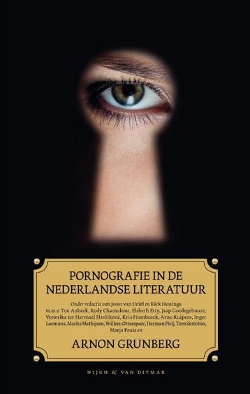 Pornografie in de Nederlandse literatuur 9789038895307, Verzenden, Zo goed als nieuw
