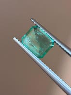 1 pcs Groen Smaragd - 1.46 ct - Gem research Swiss Lab (GRS)