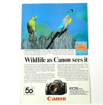 Vintage Canon EOS 650 'Wildlife Camera' advertentie uit 1987, Verzenden, Nieuw