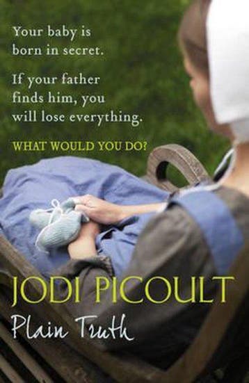 Plain Truth 9780340960493 Jodi Picoult, Verzenden, Jodi Picoult
