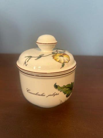 Villeroy & Boch - Service à café (5) - Botanica - Vitro, Antiek en Kunst