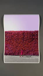 Téber - Firewall · No Reserve, Antiquités & Art