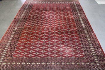Buchara - Vloerkleed - 320 cm - 218 cm, Nieuw