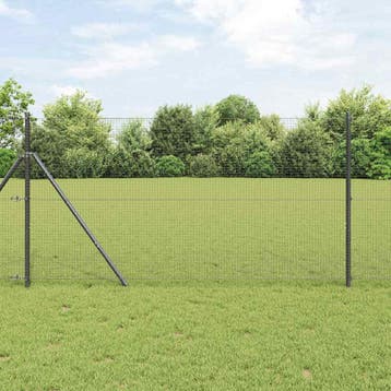 vidaXL gelast draadhek met grondbevestiging 10 x 1 m, Verzenden, Nieuw