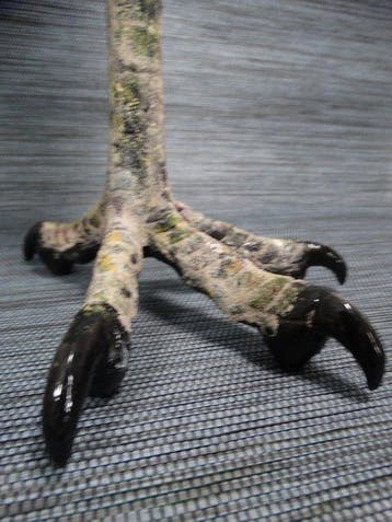 sculptuur, Struisvogelei op vogelpoot standaard - 40 cm -