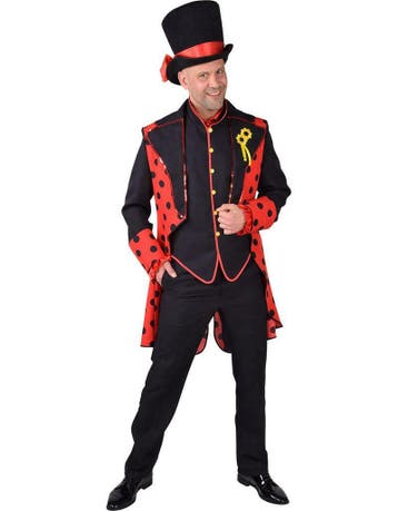 Slipjas lieveheersbeestje, Ophalen of Verzenden, Nieuw